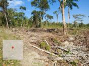 Força-tarefa no litoral identifica mais de 100 hectares de desmatamento ilegal - curitiba, 03/08/2021 - Foto: IAT