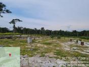 Força-tarefa no litoral identifica mais de 100 hectares de desmatamento ilegal - curitiba, 03/08/2021 - Foto: IAT