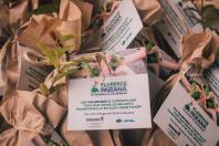 Campanha Floresce Paraná 