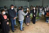 Campanha Floresce Paraná 