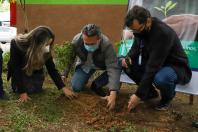 Campanha Floresce Paraná 
