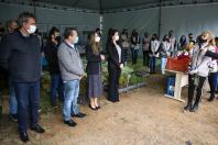 Campanha Floresce Paraná 