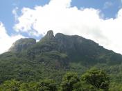 Parque Estadual Pico do Marumbi. Foto: Arnaldo Alves / AEN