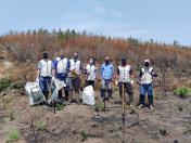 Programa de Voluntariado do IAT leva paranaenses ao Parque Estadual Vale do Codó.Foto:IAT