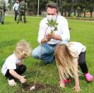 Plantando árvores