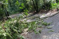 Temporal danifica estrutura do Parque Estadual Vitório Piassa, em Pato Branco - Pato Branco, 29/11/2021