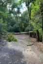 Temporal danifica estrutura do Parque Estadual Vitório Piassa, em Pato Branco - Pato Branco, 29/11/2021