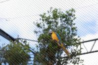Maringá ganha novos espaços de proteção ao meio ambiente e à fauna silvestre - Maringá, 16/12/2021 