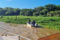 Pesca predatória