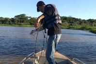 Pesca predatória