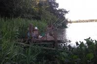 Pesca predatória
