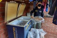 Pesca predatória