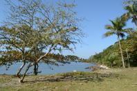 Ilha das Cobras