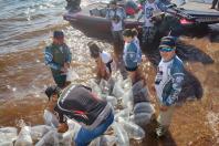 Soltura de peixes em Missal