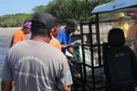 Recolhimento de lixo Litoral