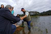 Soltura de peixes