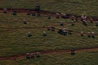 Estado e Faep divulgam cartilha para ajudar produtores rurais com questões ambientais.