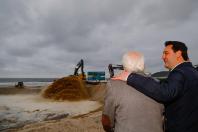 Lançamento da engorda de Matinhos