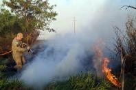 Estado alerta para necessidade de cuidados contra incêndios florestais - Foto: Gilson Abreu/AEN