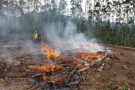 Estado alerta para necessidades de cuidados contra incêndios florestais. Foto: Corpo de Bombeiros do Paraná