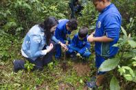 Educação ambiental