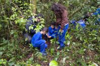 Educação ambiental