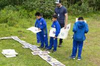 Educação ambiental