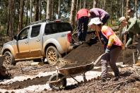 APP Paraná Mais Verde facilita pedido de mudas de árvores nativas para o IAT Foto: Associação Novo Encanto de Desenvolvimento Ecológico