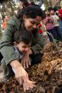 APP Paraná Mais Verde facilita pedido de mudas de árvores nativas para o IAT Foto: Associação Novo Encanto de Desenvolvimento Ecológico