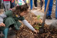 APP Paraná Mais Verde facilita pedido de mudas de árvores nativas para o IAT Foto: Associação Novo Encanto de Desenvolvimento Ecológico