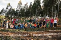 APP Paraná Mais Verde facilita pedido de mudas de árvores nativas para o IAT Foto: Associação Novo Encanto de Desenvolvimento Ecológico