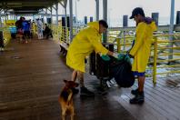 Estado reforça limpeza e coleta de lixo na Ilha do Mel durante a alta temporada