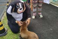 CastraPet retoma em São Mateus do Sul agenda para 2023