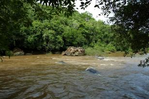 Rio Ivai