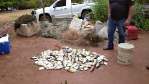 pesca ilegal
