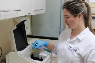 laboratorio