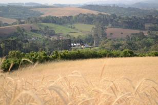 Propriedade rural