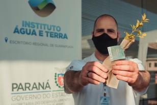 Entrega de mudas