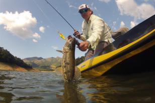 Pesca