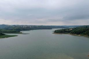 Soltura de peixes e proteção de nascentes