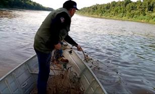 pesca