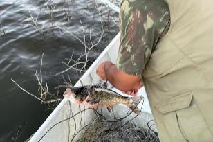 Em força-tarefa, o Instituto Água e Terra (IAT) apreendeu equipamentos de pesca irregular e se deparou com crimes ambientais ao longo da Represa do Capivari, em Campina Grande do Sul, na Região Metropolitana de Curitiba (RMC)