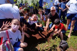 Plantando árvores