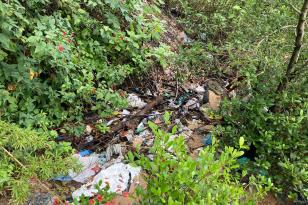 Toneladas de resíduos são retirados de manguezais no Litoral do Paraná 