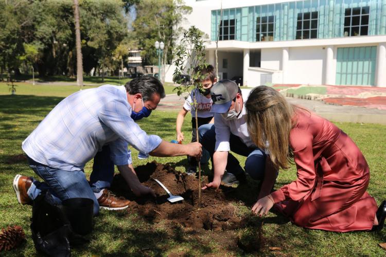 Floresce Paraná celebra o dia do voluntariado com plantio de mudas