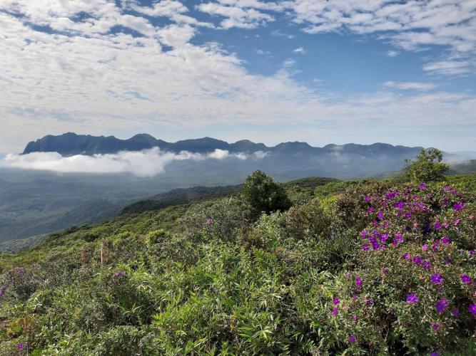 Morro Pão de Loth