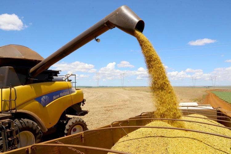 agro