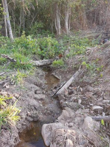 resultados operação mata atlântica