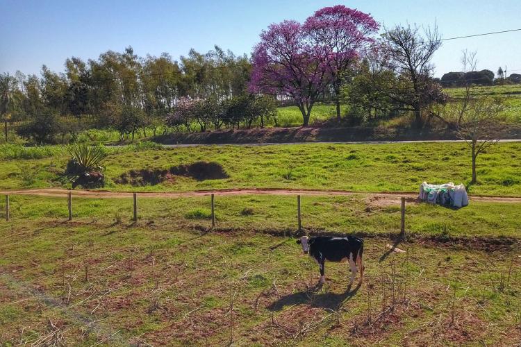 Regularização fundiária alcança mais de 1,2 mil pequenos produtores