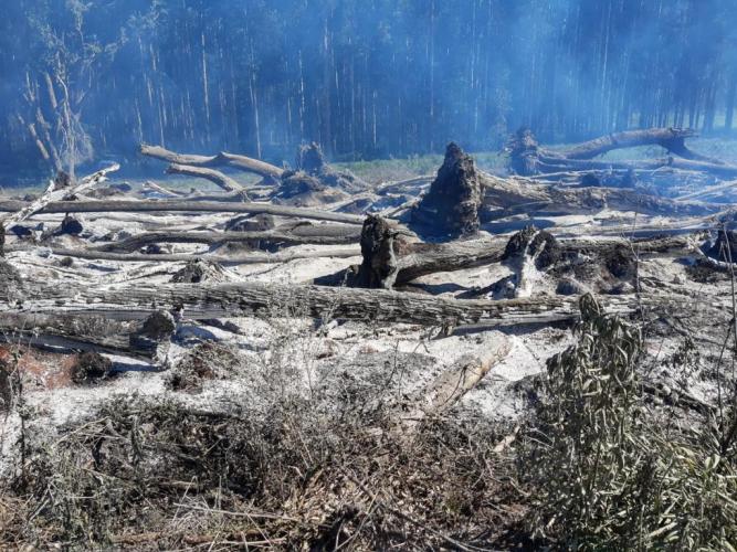 Foto: Divulgação Sedest/IAT